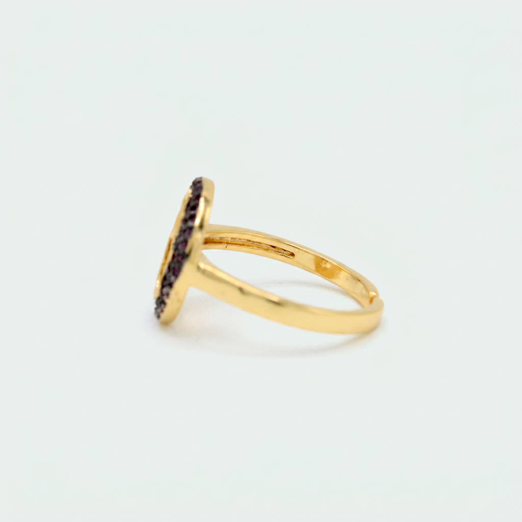 Anillo de Goldfilled con Diseño de Circulo y Mano con Zirconia Morada mod. 1406
